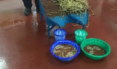 Ngoma:Hamuritswe Umushinga ugamije kurwanya inzara binyuze mu kubungabunga ubutaka 