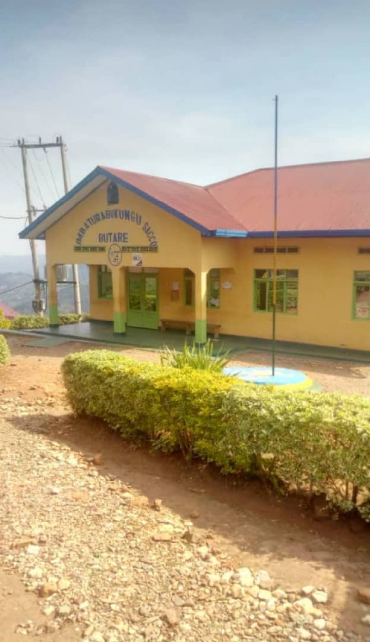 Rusizi:Ruswa n'icyenewabo mu ishyirwaho ry'abakozi bigiye kurundura Umurenge Sacco wa Butare