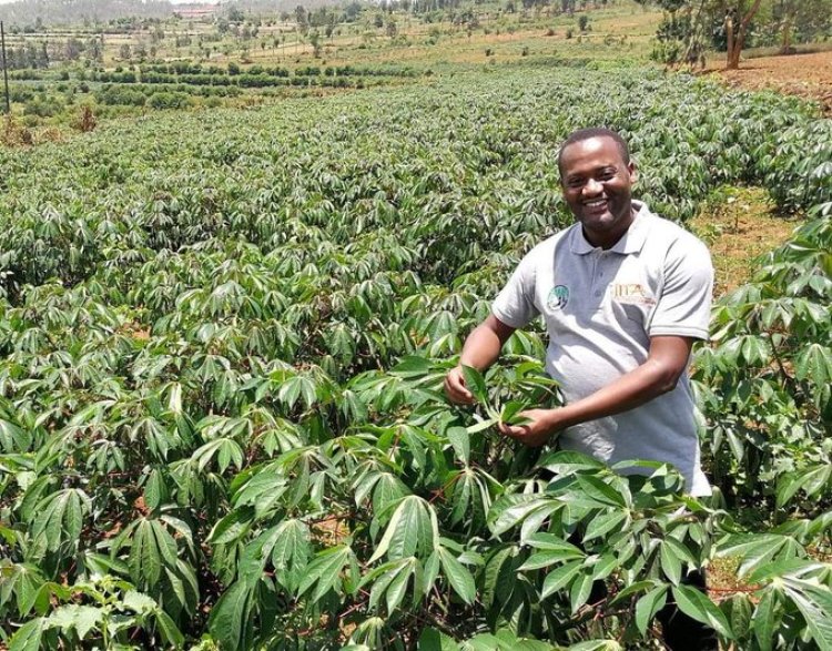 Ikoranabuhanga na siyanse mu buhinzi igisubizo kirambye mu guhangana n’imihindagurikire y’ikirere n’imirire mibi