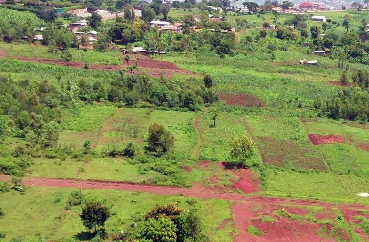 Umusoro ku butaka wagabanutseho inshuro zirenga eshatu 