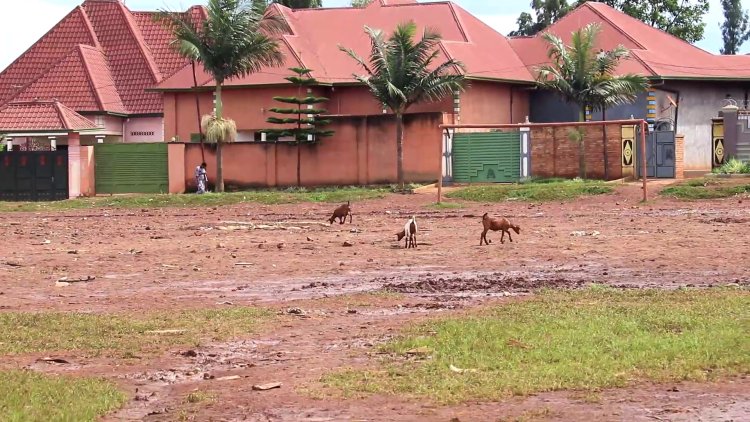 Kayonza: Urubyiruko rwinubira ko ikibuga cy'umupira w'amaguru cyahinduwe isoko 