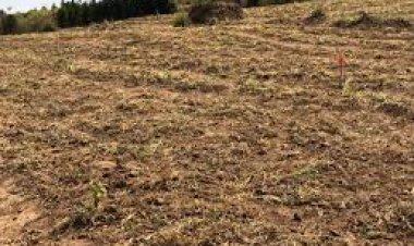 Rwanda: Abatazahinga ubutaka bwagenewe guhingwa muri iki gihembwe  bazahanwa