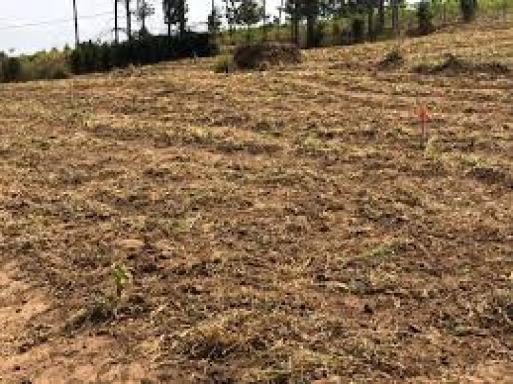 Rwanda: Abatazahinga ubutaka bwagenewe guhingwa muri iki gihembwe  bazahanwa