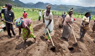 Meteo Rwanda warned farmers and breeders due to the expected heat in summer