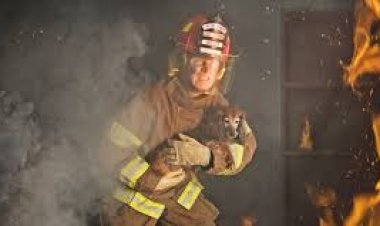 Thailand: Inyamanswa zifatwa nk’izagaciro zaguye  mu nkongi y’umuriro.