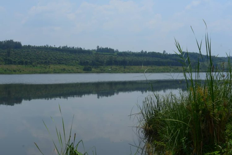 Rwamagana: Ifi yishe umusore nyuma yo kumurusha imbaraga ikamuroha  mu mazi