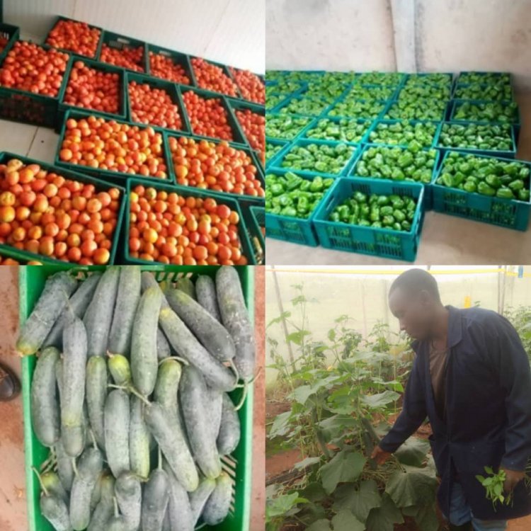 KOICA-backed MYI Project Empowers Women Farmers through Cooperative Agriculture